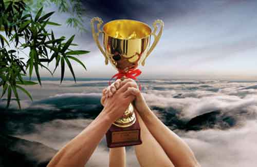 大家心心念的免费微信互投群真的有吗?