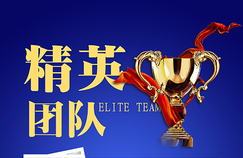 精英团队奖杯