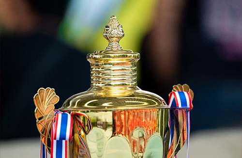 金光闪闪的奖杯