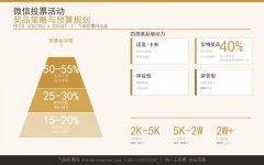 微信投票活动奖品策略与预算规划指南：金字塔